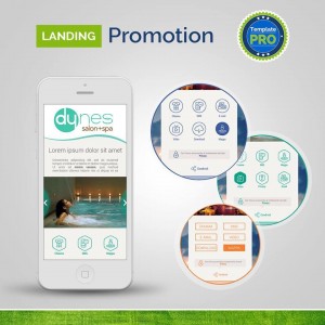 Landing Promotion