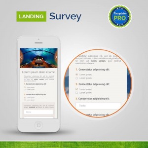 Landing Survey