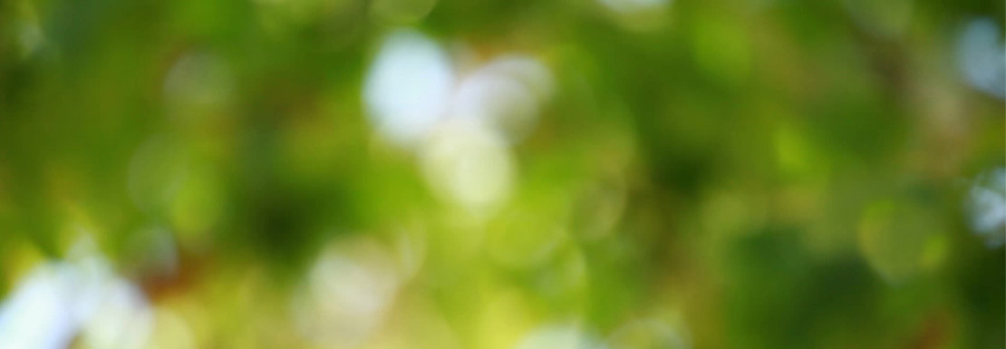 Fondo Cabecera storytelling